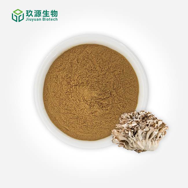 Maitake Extract Powder