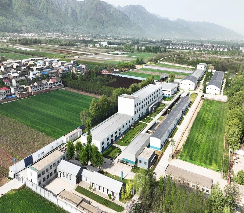 About Our Company